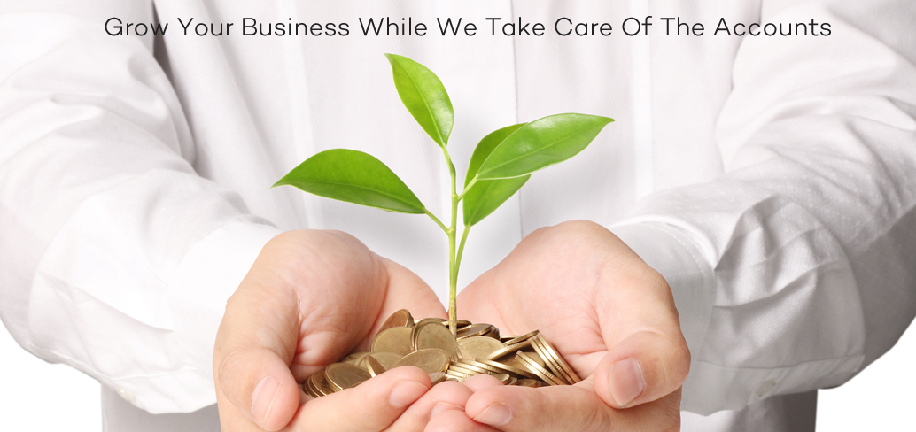 Grow Your Business While We Take Care Of The Accounts